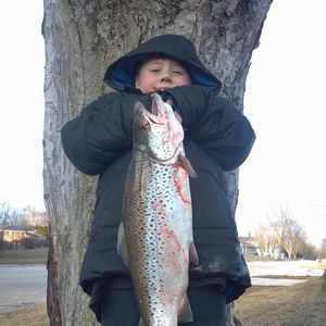 Meet your Posher, Ashton